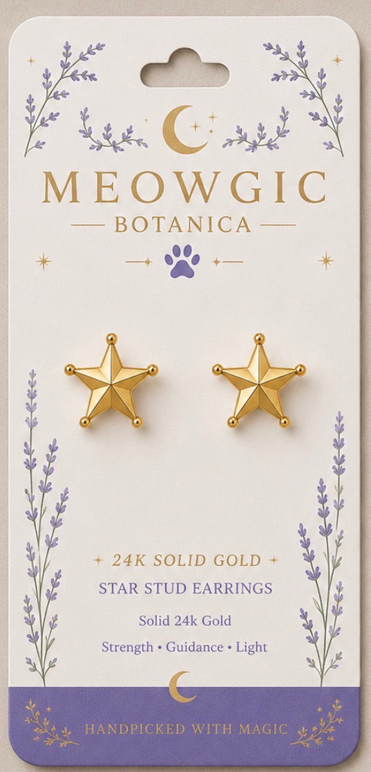 ⭐ 24K GOLD STAR STUD