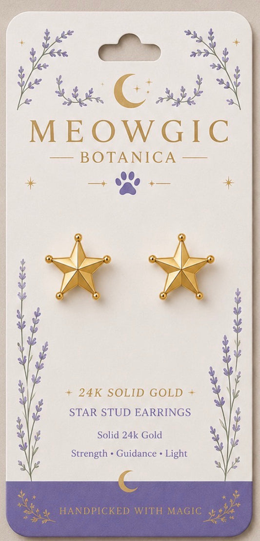 ⭐ 24K GOLD STAR STUD